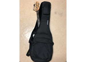 Yamaha BB1024X (10).JPG