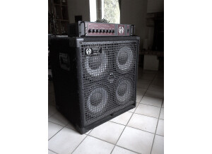 SWR Bass 350 (74052)