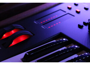 Dave Smith Instruments Pro 2 (49464)