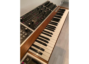 Moog Music MemoryMoog (13769)