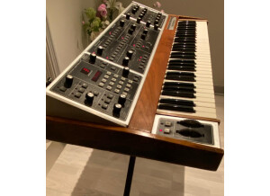 Moog Music MemoryMoog (602)