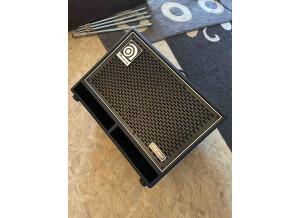 Cab Ampeg1