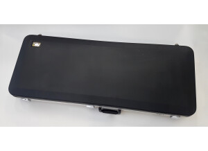 Rickenbacker 360 (20851)