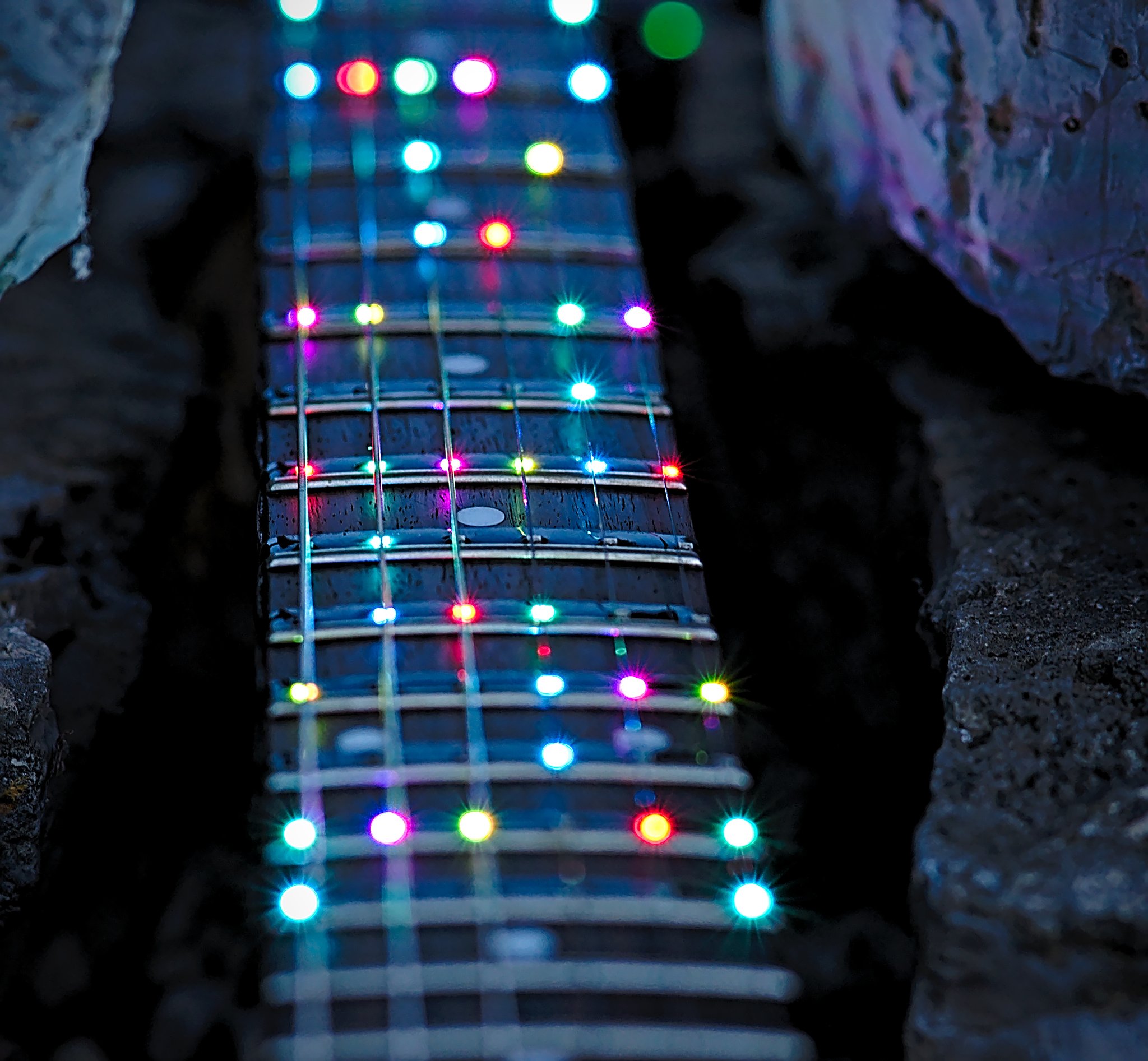 IMG04113_01_1024x1024@2x