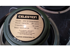 Celestion G12M Greenback (40848)