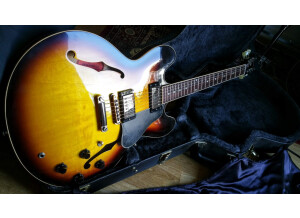Gibson ES-335 Dot Plain Gloss (93565)