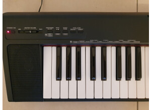 Yamaha-2