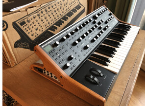 Moog Music Subsequent 37 (13850)