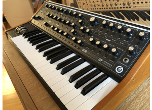 Moog Music Subsequent 37 (97955)