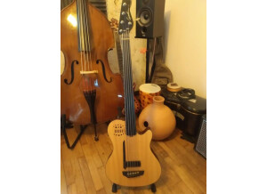 Godin A5 Fretless SA