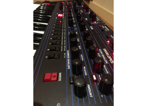 Dave Smith Instruments OB-6 (17368)