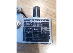 Boss RV-3 Digital Reverb/Delay (51354)