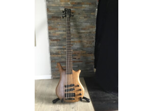 Warwick Thum bass 5 string