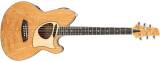 Ibanez TCM50