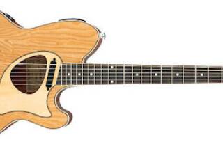 Ibanez TCM50