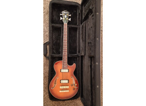 Ibanez AGB 200 Face