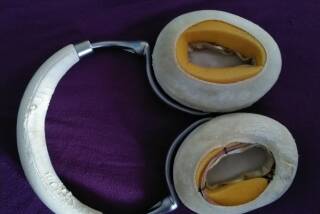 Parrot Zik 2.0