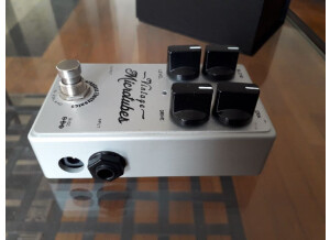 80994423_555707921642447_1852166562924986368_n