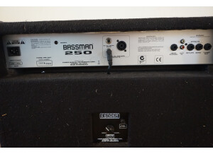 Fender Bassman 250 Combo 1x15