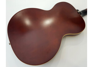 Epiphone Inspired by "1966" Century Archtop (3115)