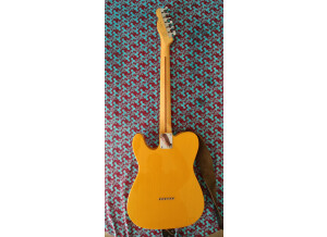 Fender Special Edition Lite Ash Telecaster (90413)
