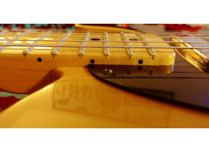 Fender Special Edition Lite Ash Telecaster (70356)