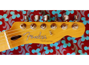 Fender Special Edition Lite Ash Telecaster (65449)
