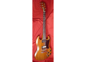 Gibson Les Paul BFG (96301)