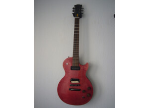 Gibson Les Paul BFG (86376)