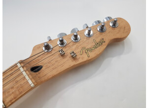 Fender Special Edition Lite Ash Telecaster (53169)