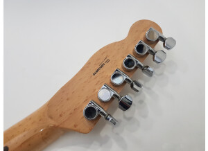 Fender Special Edition Lite Ash Telecaster (49866)