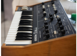 Moog Music Prodigy (21845)