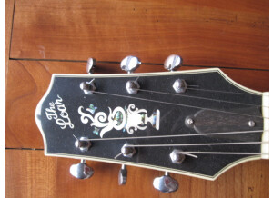 The Loar LH-700 (78324)