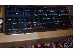 Dave Smith Instruments OB-6 (26412)