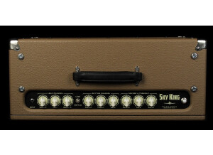 tone-king-sky-king-35w-combo-a-brown-2-Fe6gIWx