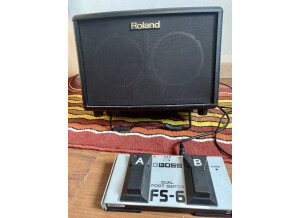 Roland AC-33 (26371)