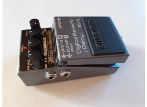 Boss RV-3 Digital Reverb/Delay (98289)