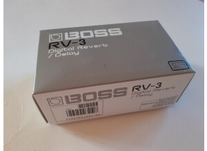 Boss RV-3 Digital Reverb/Delay (94863)