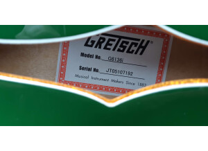 Gretsch G6136I Bono Irish Falcon