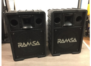 Ramsa WS-A200E (97506)