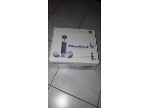 Blue Microphones Bluebird (73141)