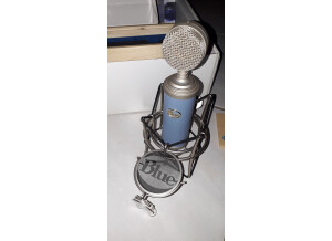 Blue Microphones Bluebird (20357)