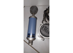 Blue Microphones Bluebird (33307)