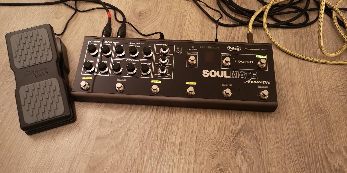 T-Rex Engineering Soulmate Acoustic