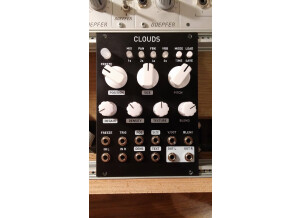 Mutable Instruments Clouds (68874)