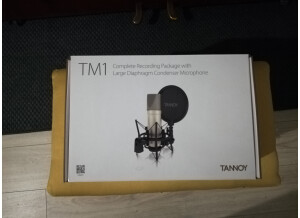 Tannoy TM1