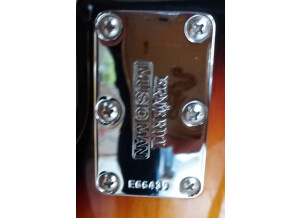 Music Man StingRay 5 HH (74342)