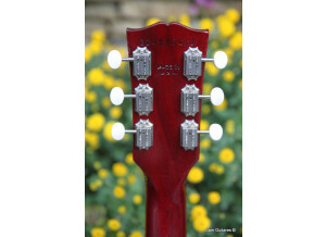 Gibson SG Junior (84923)