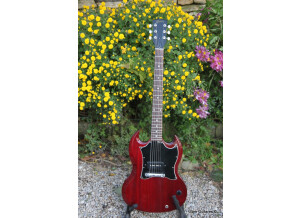 Gibson SG Junior (36536)