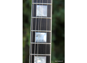 Gibson Les Paul Custom (23893)